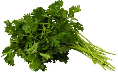 Cilantro identified as possible source behind mystery Salmonella Oranienburg outbreak thumbnail