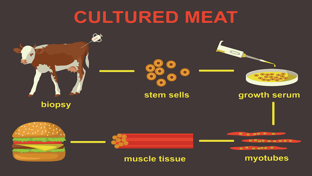 Question: What is lab-grown meat, and how does it compare to real