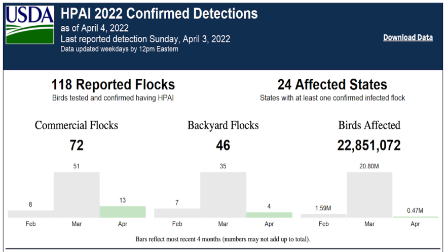 Avian Flu Outbreaks In U S Take More Than 22 8 Million Birds In 24   Avian Flu Birds 04 04 22 880x499 