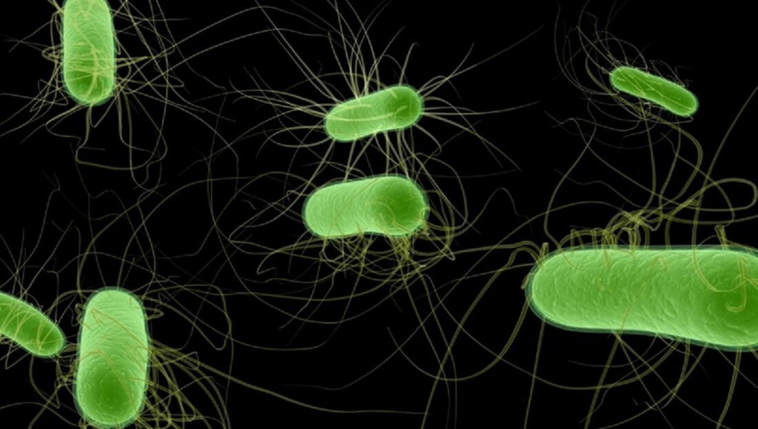 FSA probes E. coli outbreak with 5 sick; discusses foodborne disease Food Safety News