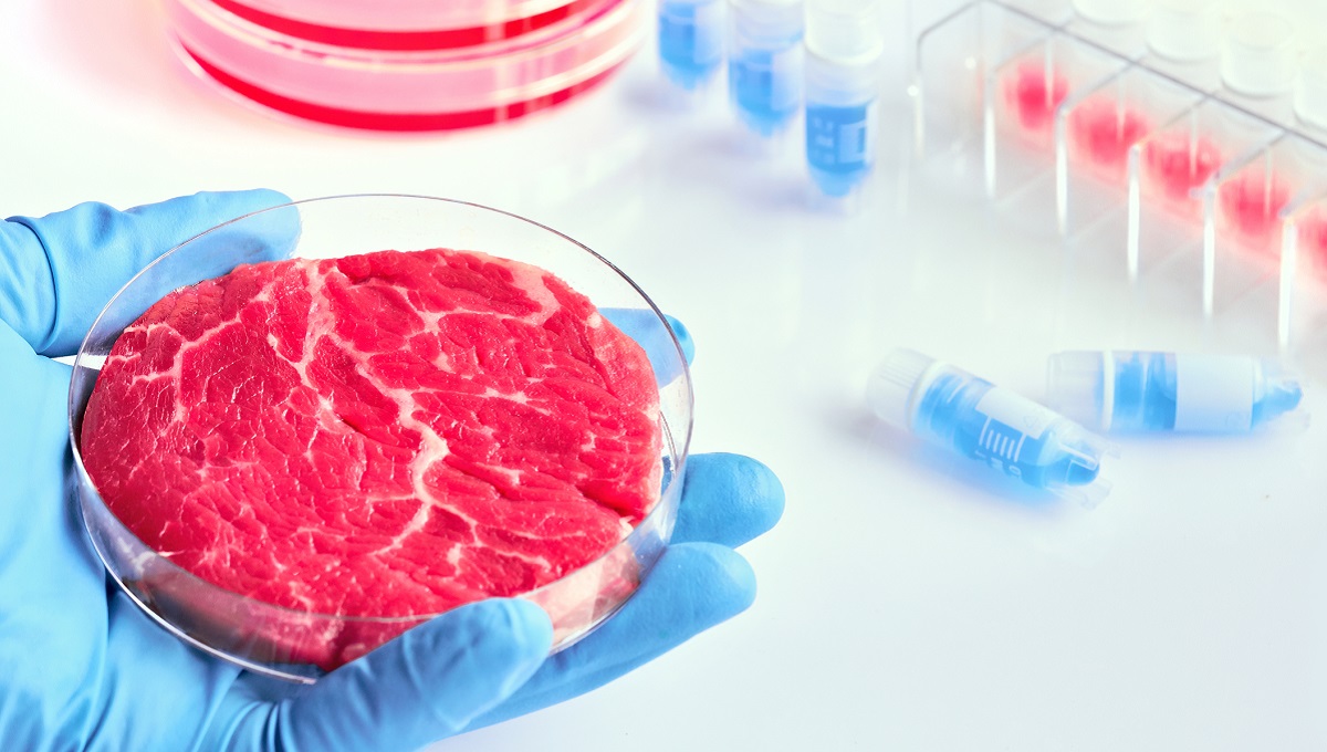 FSA starts work on cell-based meat; consumers skeptical