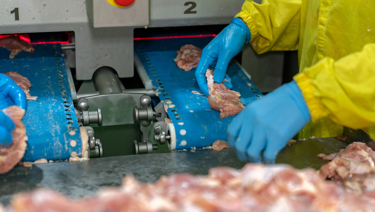 Poultry injuries fall below food manufacturing levels